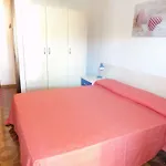 In 38358 * ביביונה